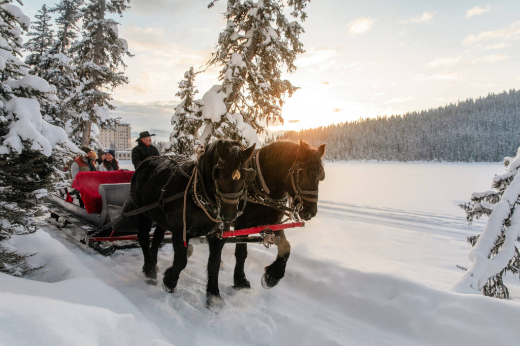 Horse-drawn sleigh rides