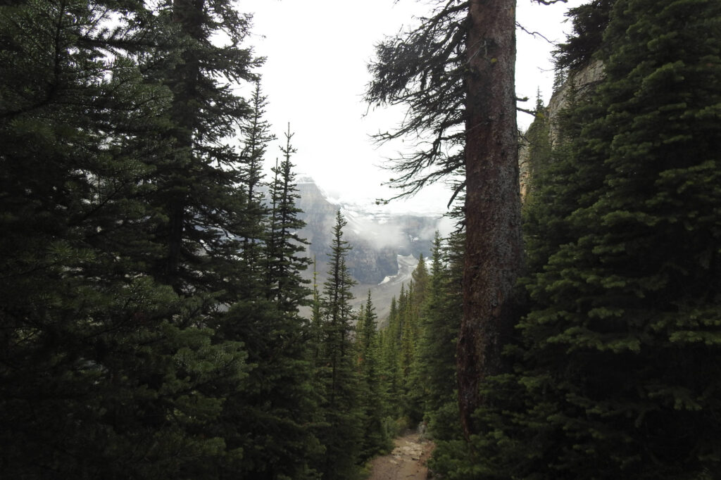 Lake Louise Tea House Hike