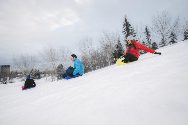 sliding down the toboggan hill