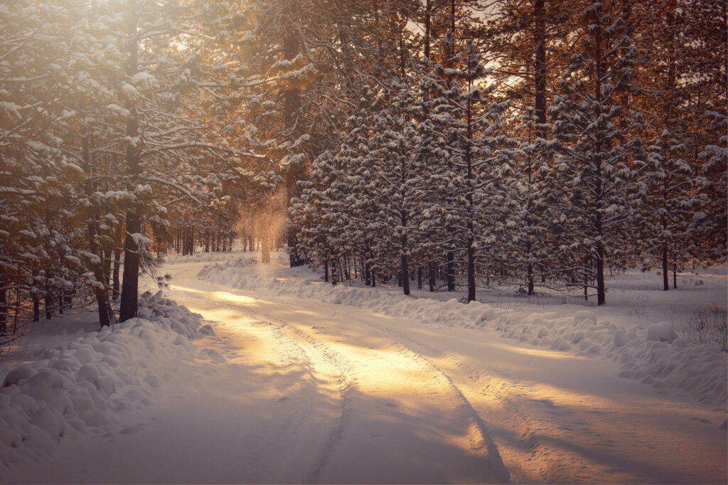 Snow on roads are the norm in Banff in January 