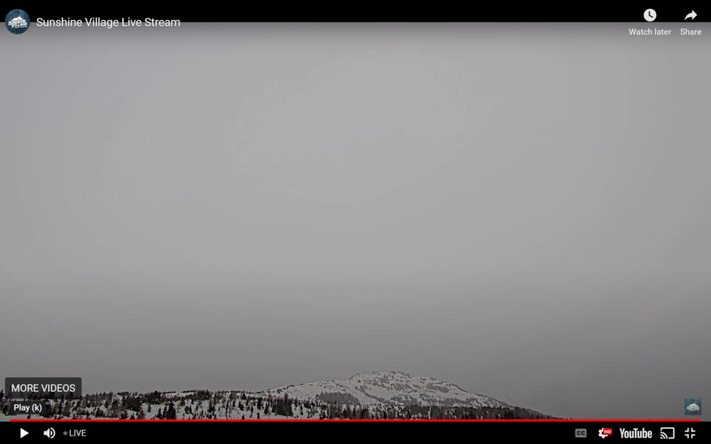 sunshine village live cam