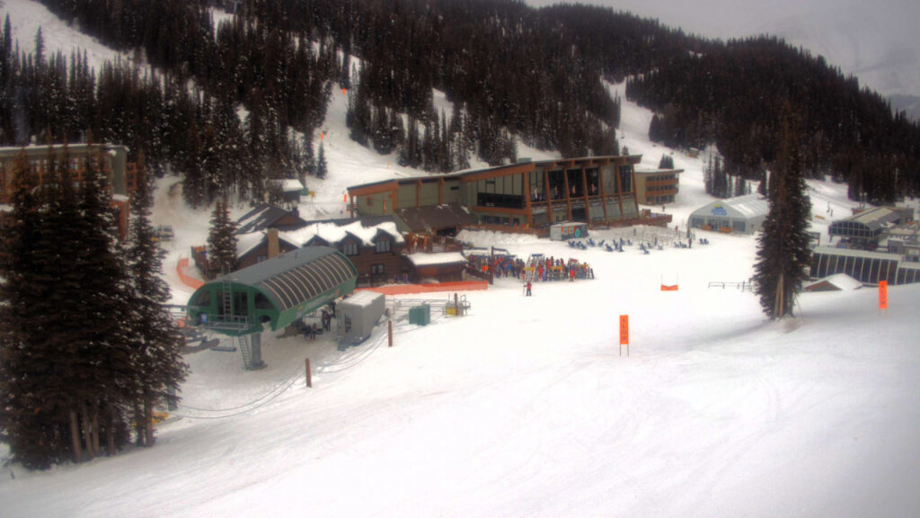 village view webcam